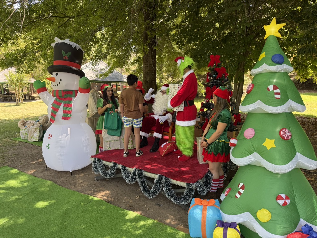 Navidad RMS 04